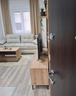 Apartmani Marjanovic