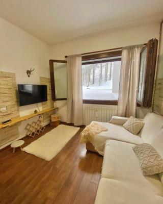 Appartamento Ruscello sulle piste