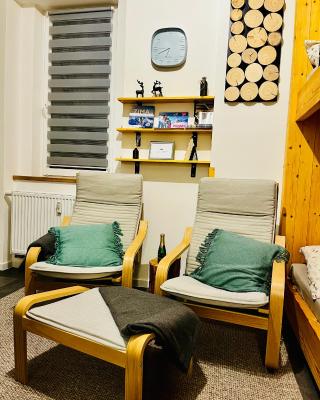 Apartmán Abertamy 265