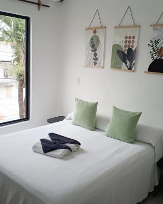 Tauch Cancún Centro