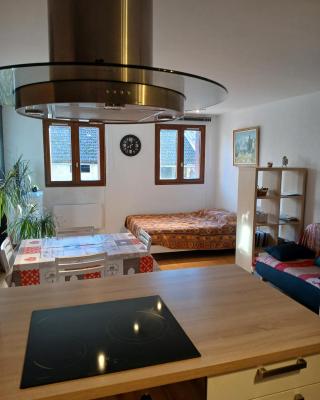 Petit studio tout confort
