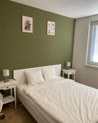 Cozy, bright room with free parking