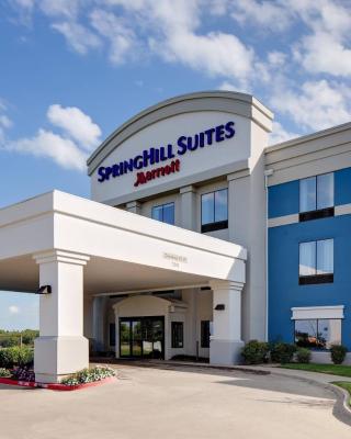 SpringHill Suites by Marriott Ardmore