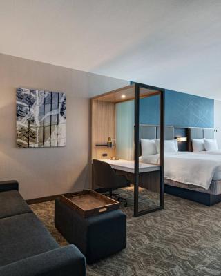SpringHill Suites by Marriott Dallas Richardson/University Area