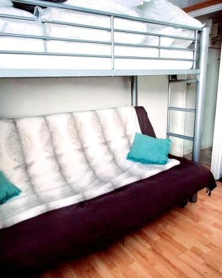 Petit nid au Pic du Midi