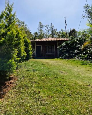 Athena Homestay