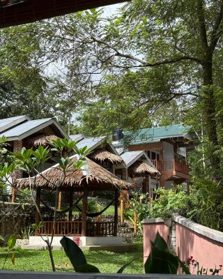 Asim Paris Guesthouse & jungle trekking