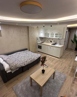 Airport Nest Belgrade
