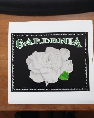 Gardenia