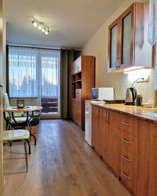 Novozrekonstruovany apartman pri boroviciach