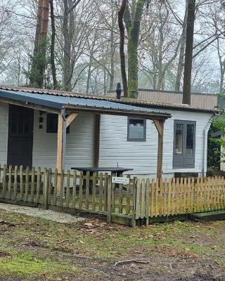 Chalet Hoenderloo Beuk