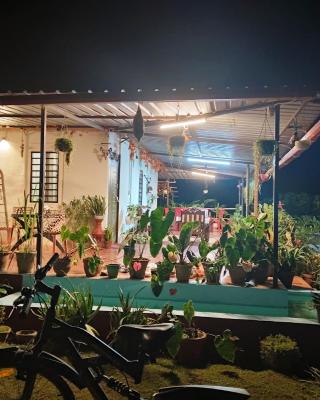 Coorg Coffee Park Farmstay