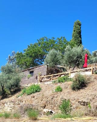 Cabanon en pierre - vue sur mer