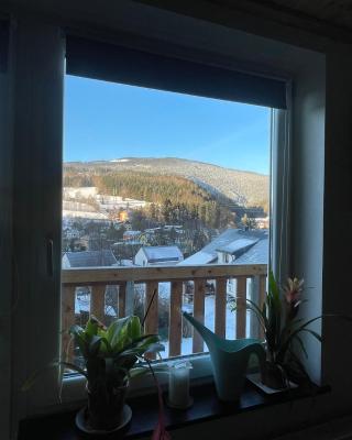 Apartmán Čížci Horní Maršov