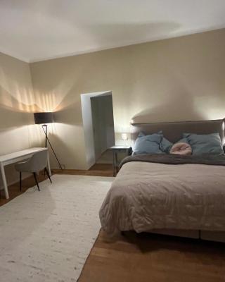 Masionette Wohnung in Weinregion 30 min südlich von Wien