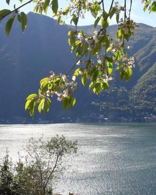Casa privata con splendida vista lago "Il Gallicantus"