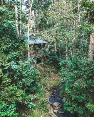 Narrows Escape Rainforest Retreat