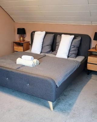 SLEEP&CHILL - ruhige Übernachtung mit Main-Blick