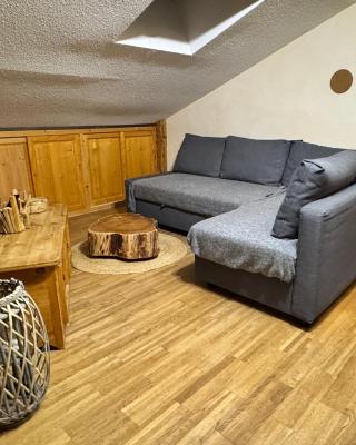 Appartement cosy proche Châtel Portes du soleil - linge inclus