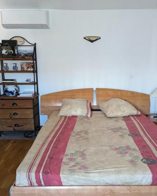 Ecully logement privé attenant de la maison principale