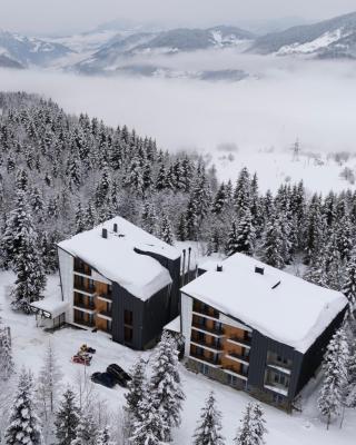 Gоderdzi Twins Hotel