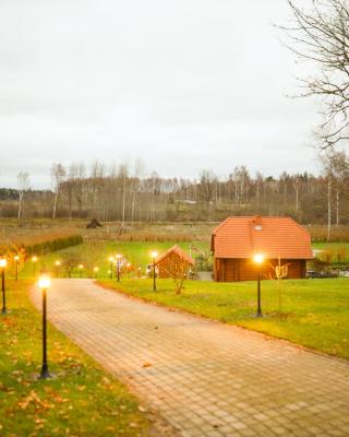 Kundziņi