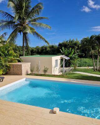 BUNGALOW PISCINE ZEN & GREEN - confort