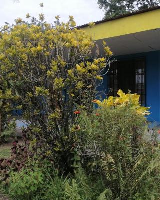 Amapola Rooms