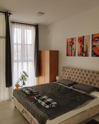 Apartman Opačić 1
