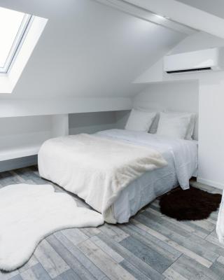 Le Duplex by Leslodgespa - Loft moderne et confortable au style newyorkais, proche de Bâle et de l'aéroport