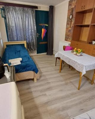 Apartment With Garden