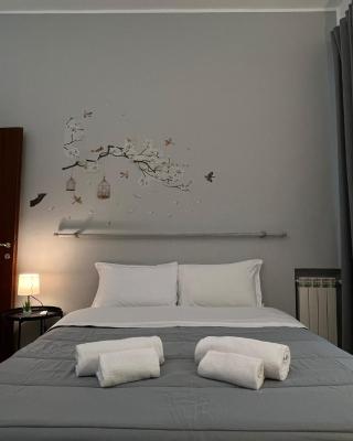 The Stay