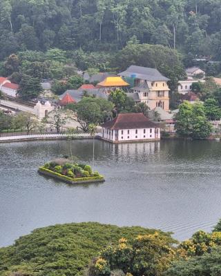 Lazy Bear Best Hostel in Kandy