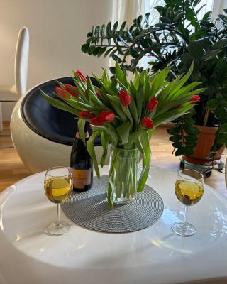 Apartment Karla Čapka