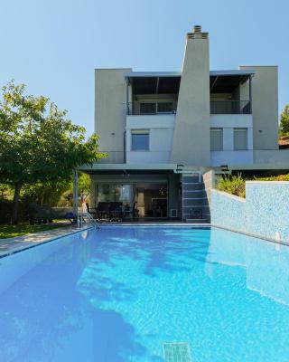 Deluxe Chrousso Pool Villa