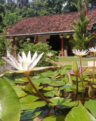 Minu Homestay & Villa