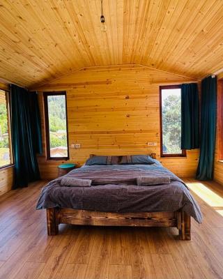 Heshkili huts and cabins Svaneti