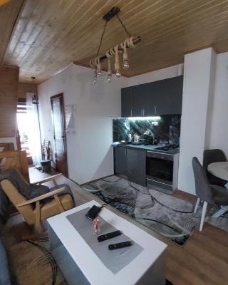 Vila MINA LUX
