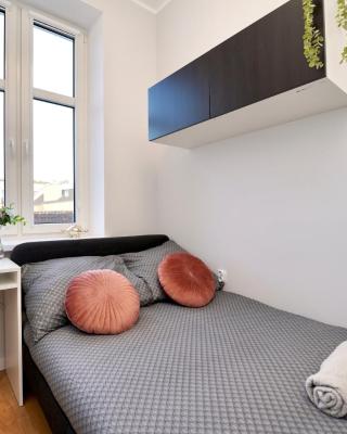 MMRent Dinosaur Room