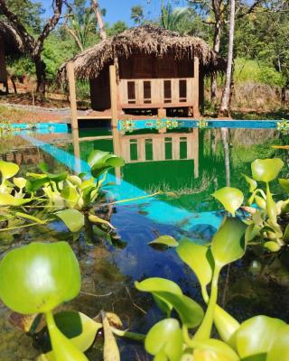 Adama Eco Farm