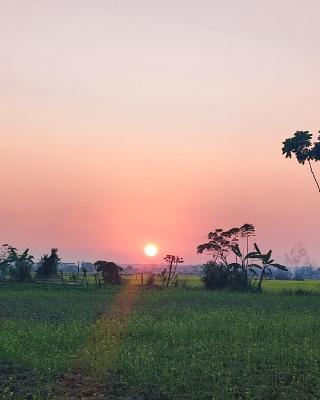 Rhino Land family Home Stay chitwan with garden