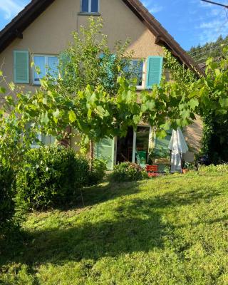 Ferienwohnung Kräutergarten
