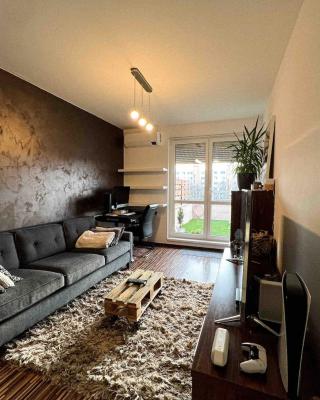 Central AREA Cozy Apartment