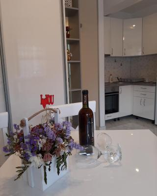 Apartmani LaVa igalo 1