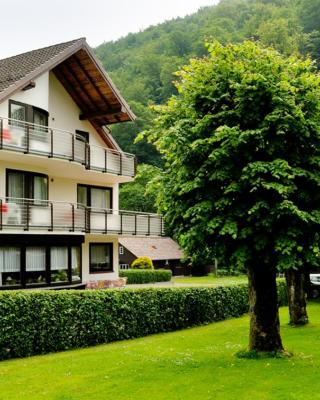 Harz hotel Iris