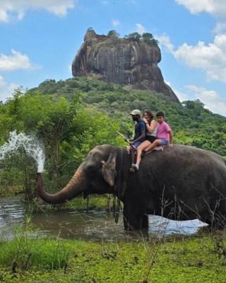 The Wild Elephant Resort