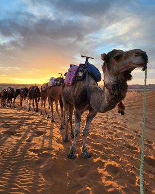 Merzouga Activities Luxury Camp