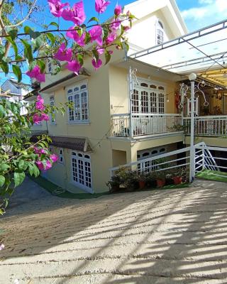Lucid Dream Villa Homestay