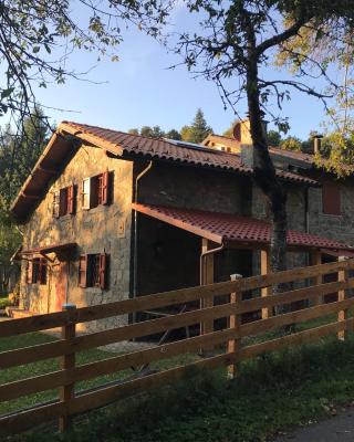 Holiday House Casini di Corte