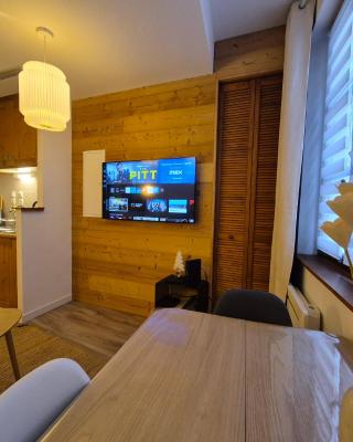 Cosy appartement Embrun centre